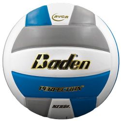 Baden Perfection Volleyball